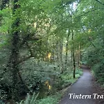 Garden On Tintern Trails Fethard on Sea