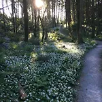 Garden On Tintern Trails *