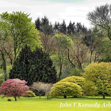 Garden On Tintern Trails *