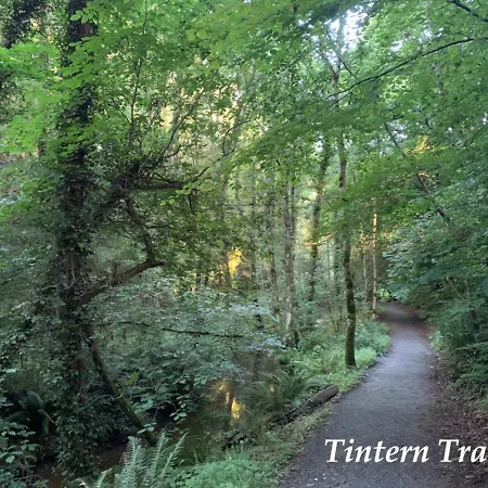 Garden On Tintern Trails Fethard-on-Sea