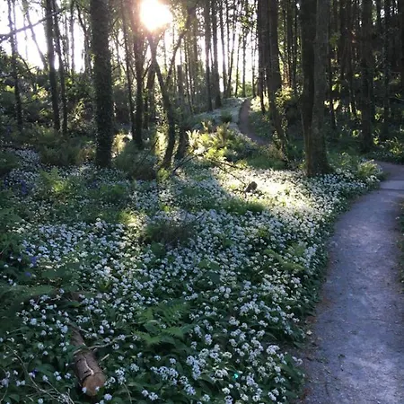 Garden On Tintern Trails *