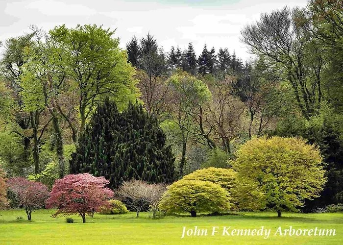 Garden On Tintern Trails *