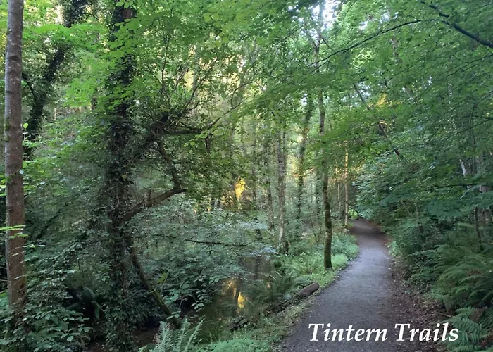 Garden On Tintern Trails Fethard-on-Sea