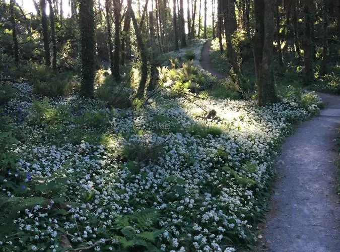 Garden On Tintern Trails *
